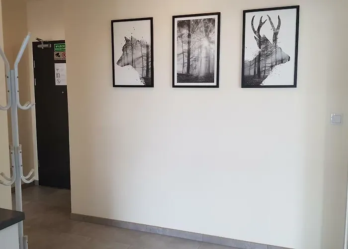 Séjour chez l'habitant Arena